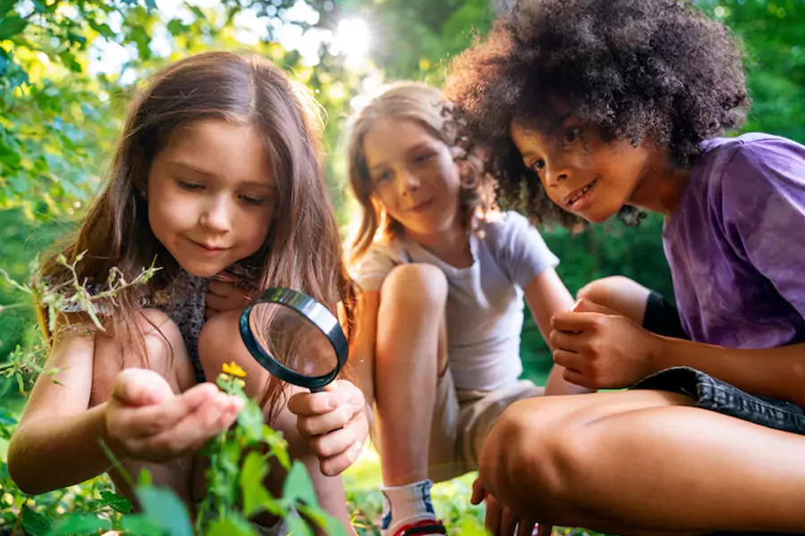 Summer Camps 2025